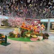 ヒメ日記 2026/03/26 12:17 投稿 れんげ ビギナーズ神戸