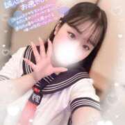 ヒメ日記 2025/02/28 21:20 投稿 リリ 石庭