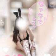 ヒメ日記 2025/03/03 15:50 投稿 リリ 石庭