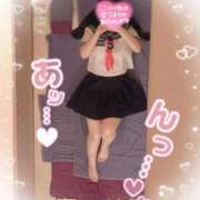 ヒメ日記 2025/03/05 11:50 投稿 リリ 石庭