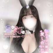 ヒメ日記 2025/03/06 20:50 投稿 リリ 石庭