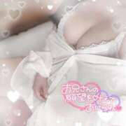 ヒメ日記 2025/03/07 09:00 投稿 リリ 石庭