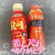 ヒメ日記 2025/03/08 00:20 投稿 リリ 石庭