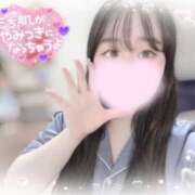 ヒメ日記 2025/03/08 09:50 投稿 リリ 石庭