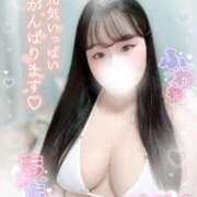 ヒメ日記 2025/03/10 14:20 投稿 リリ 石庭