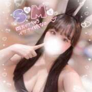 ヒメ日記 2025/03/10 16:51 投稿 リリ 石庭