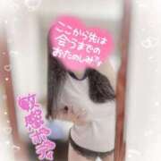 ヒメ日記 2025/03/10 20:00 投稿 リリ 石庭