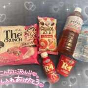 ヒメ日記 2025/03/10 23:20 投稿 リリ 石庭