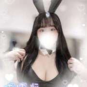 ヒメ日記 2025/03/11 19:20 投稿 リリ 石庭