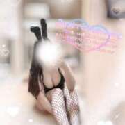 ヒメ日記 2025/03/13 11:20 投稿 リリ 石庭