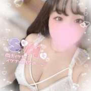 ヒメ日記 2025/03/13 21:58 投稿 リリ 石庭