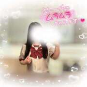 ヒメ日記 2025/03/15 10:20 投稿 リリ 石庭