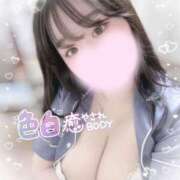 ヒメ日記 2025/03/15 15:40 投稿 リリ 石庭