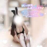 ヒメ日記 2025/03/15 20:00 投稿 リリ 石庭