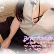 ヒメ日記 2025/03/17 09:00 投稿 リリ 石庭