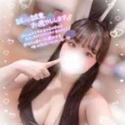 ヒメ日記 2025/03/17 14:30 投稿 リリ 石庭