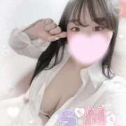 ヒメ日記 2025/03/18 11:30 投稿 リリ 石庭