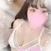 ヒメ日記 2025/03/18 15:30 投稿 リリ 石庭