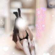 ヒメ日記 2025/03/18 17:30 投稿 リリ 石庭