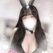 ヒメ日記 2025/03/18 19:30 投稿 リリ 石庭