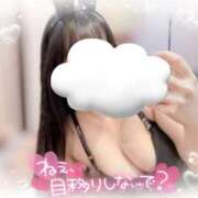 ヒメ日記 2025/03/19 09:01 投稿 リリ 石庭