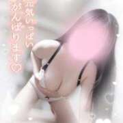 ヒメ日記 2025/03/19 11:30 投稿 リリ 石庭