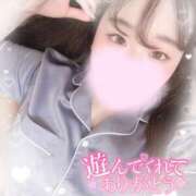 ヒメ日記 2025/03/20 00:21 投稿 リリ 石庭