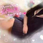 ヒメ日記 2025/03/20 13:20 投稿 リリ 石庭