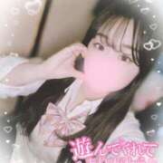 ヒメ日記 2025/03/21 00:20 投稿 リリ 石庭