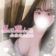 ヒメ日記 2025/03/21 08:40 投稿 リリ 石庭