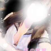 ヒメ日記 2025/03/21 09:39 投稿 リリ 石庭