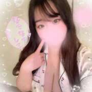 ヒメ日記 2025/03/21 12:50 投稿 リリ 石庭