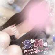 ヒメ日記 2025/03/22 09:20 投稿 リリ 石庭