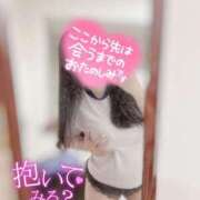 ヒメ日記 2025/03/22 19:00 投稿 リリ 石庭