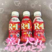 ヒメ日記 2025/03/22 23:44 投稿 リリ 石庭