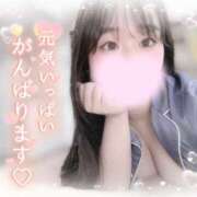 ヒメ日記 2025/03/23 10:37 投稿 リリ 石庭