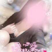 ヒメ日記 2025/03/24 13:31 投稿 リリ 石庭