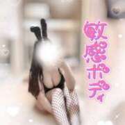 ヒメ日記 2025/03/24 19:20 投稿 リリ 石庭