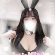 ヒメ日記 2025/03/24 22:21 投稿 リリ 石庭