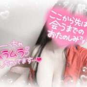 ヒメ日記 2025/03/25 12:30 投稿 リリ 石庭