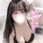 ヒメ日記 2025/03/25 17:45 投稿 リリ 石庭