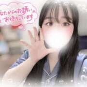 ヒメ日記 2025/03/26 09:00 投稿 リリ 石庭