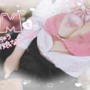 ヒメ日記 2025/03/26 13:00 投稿 リリ 石庭