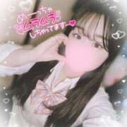 ヒメ日記 2025/03/26 15:19 投稿 リリ 石庭