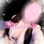 ヒメ日記 2025/03/26 19:00 投稿 リリ 石庭