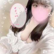 ヒメ日記 2025/03/26 21:01 投稿 リリ 石庭