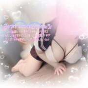 ヒメ日記 2025/03/27 14:20 投稿 リリ 石庭