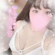 ヒメ日記 2025/03/27 17:04 投稿 リリ 石庭