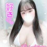 ヒメ日記 2025/03/28 00:20 投稿 リリ 石庭