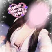 ヒメ日記 2025/04/02 09:00 投稿 リリ 石庭